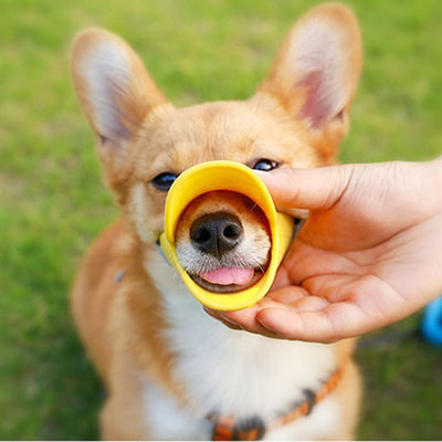 Nom