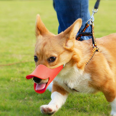 Nom