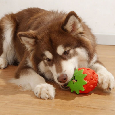 Nom