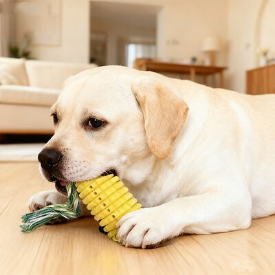 Nom